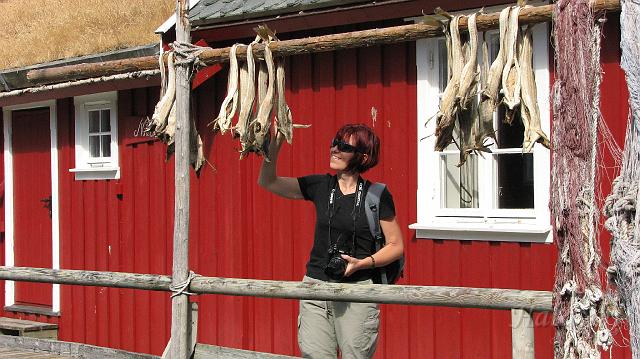 Norwegia (1015).JPG - Lofoty - wyspa Meskenes (Reine)